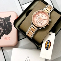 Fossil Tailor