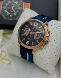 Tommy Hilfiger |quartz Machinary |7A Quality |Luxurybrandzone 