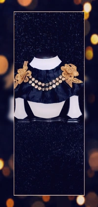 Fashion Luxury Ruff Detachable Collar For Elegance - Black, Neck :- L- 16.5 inch W- 5 inch, WhatsApp Us For Size Changes
