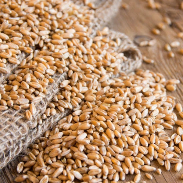 Whole Wheat (Sharbati)  - 5kg