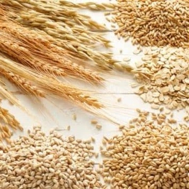 Whole Grains