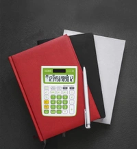 Casio MJ-12VCb-GN 300 Steps Check & Correct Colourful Desktop Calculator