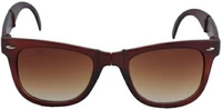 Wayfarer Sunglasses 