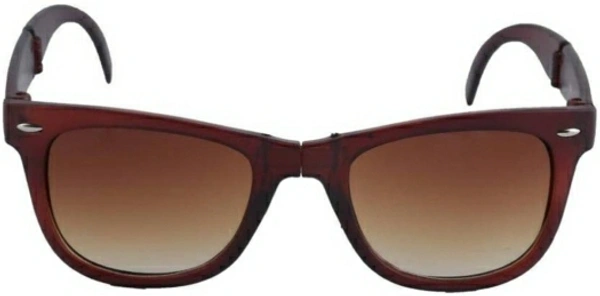 Wayfarer Sunglasses 