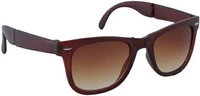 Wayfarer Sunglasses 