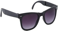 Wayfarer Sunglasses 