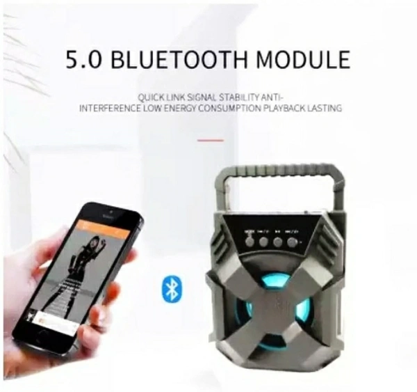 Bluetooth Speaker (10W)