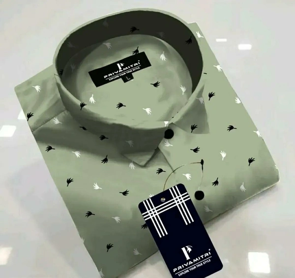 Casual Shirt - Dove Gray, XL