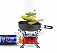 Portable Gas Stove 