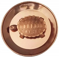 Tortoise Feng Shui Vastu Shoepiece 