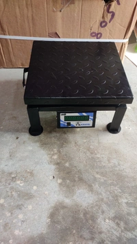 Kaviri Ms Model Scale 300*300mm 100kg - Black, 300*300mm