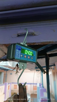 300kg Hanging Scale New Model  - Gray