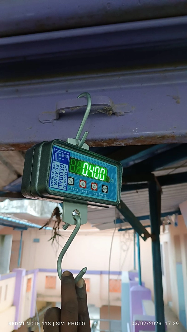 300kg Hanging Scale New Model  - Gray