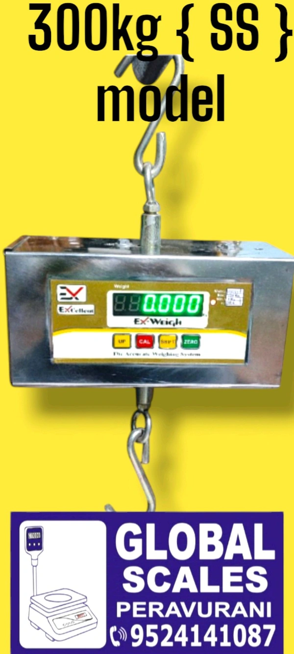 300kg Ss Hanging Scale  - Silver