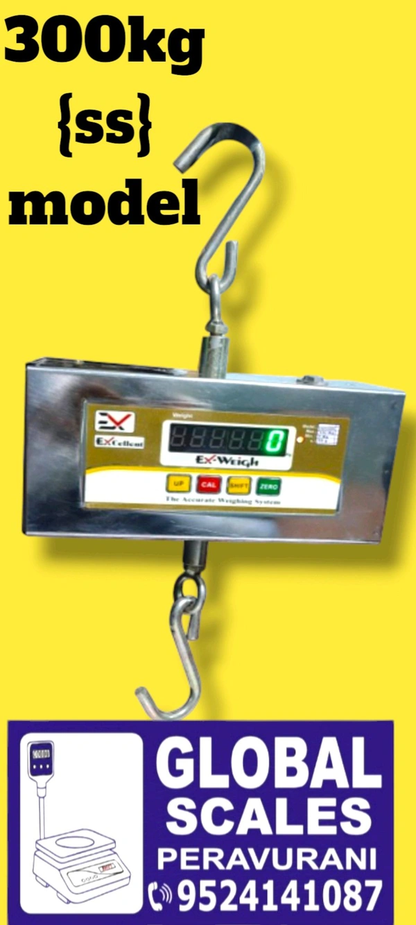 300kg Ss Hanging Scale  - Silver