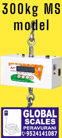 300kg Ss Hanging Scale  - Silver