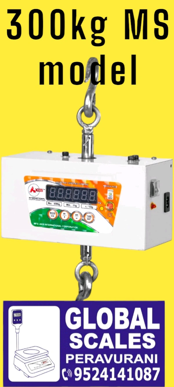 300kg Ss Hanging Scale  - Silver