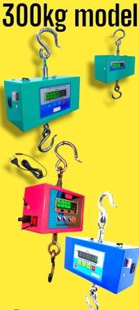 300kg Ss Hanging Scale  - Silver