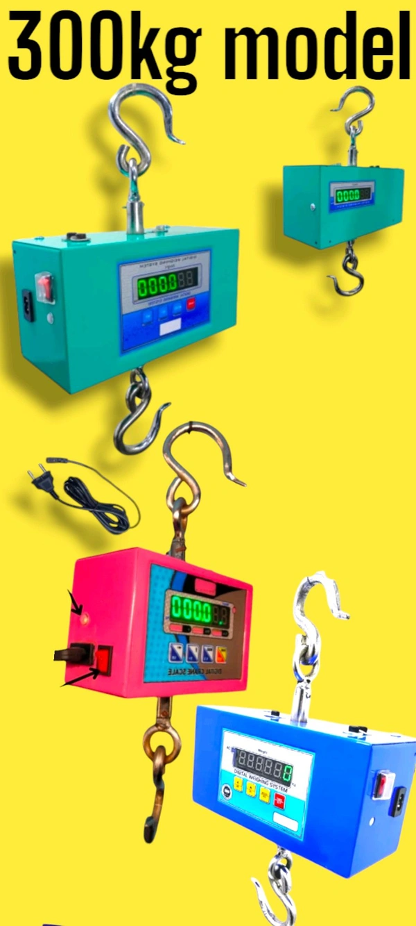 300kg Ss Hanging Scale  - Silver