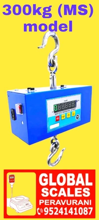 300kg Ss Hanging Scale  - Silver