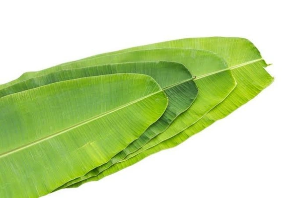 Banana Leaf Bunch - 1 Bunch