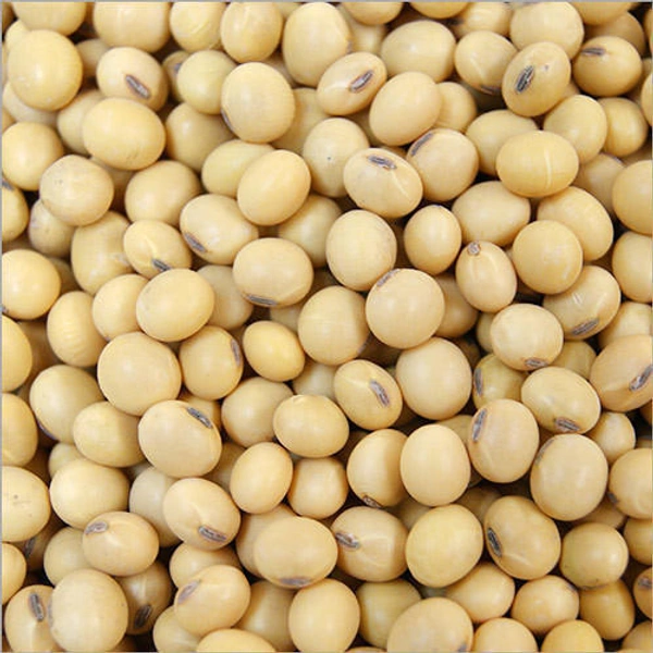Soyabean - 500gm