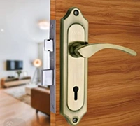 Main Door Locks