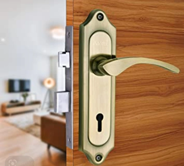 Main Door Locks
