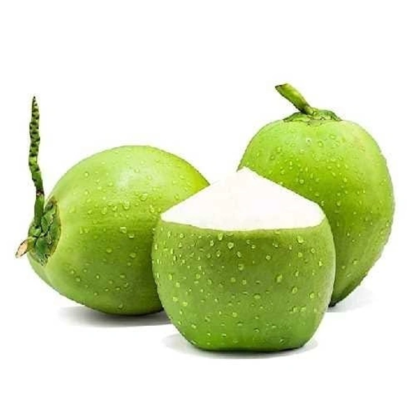 Coconut 