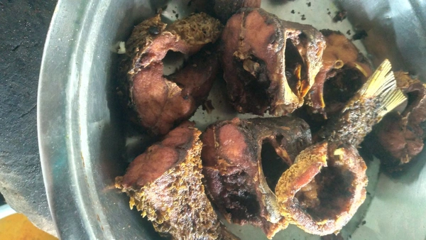 Fish 1Pcs