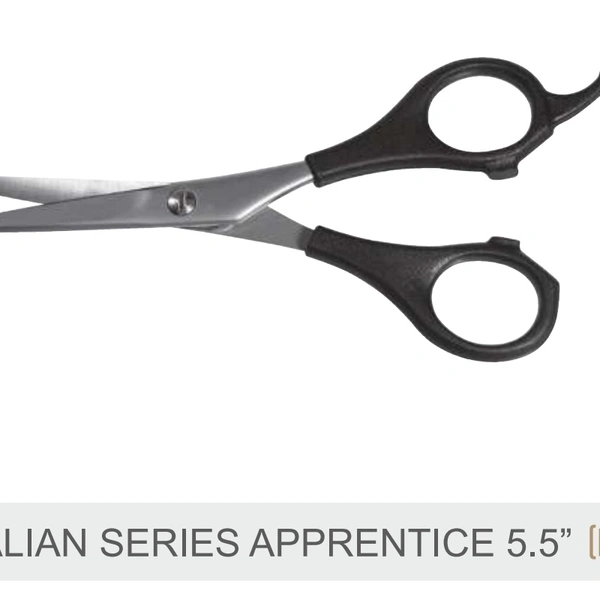 Wahl Italian Series Apprentice Scissor 5.5 Inches - United States Of America, 8213, Non Returnable, 5.5 inches, Black Handle