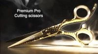 Kraftpro ZEN Scissor Gold - South Korea, Non Returnable, 5.5 Inch
