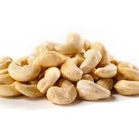 Organic India Cashew Nut Roasted - 500gm