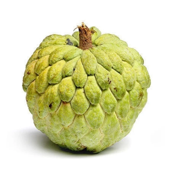 Custard Apple -1pc