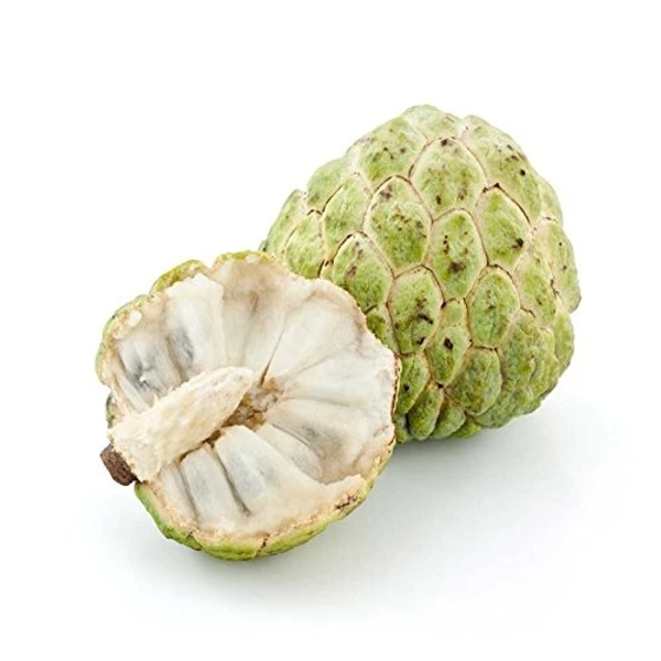 Custard Apple  - 1kg