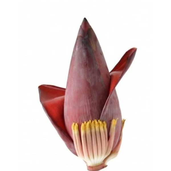 Banana Flower  - 2pcs