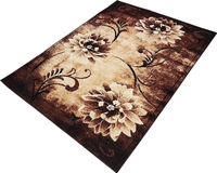 Carpets Concord Carved Embossed Most Elegant Carpet for Living Room - brown, 5x7