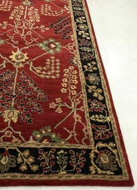 ALAM RUGS Handmade Traditional Design Woollen Carpets For Living Room - multi