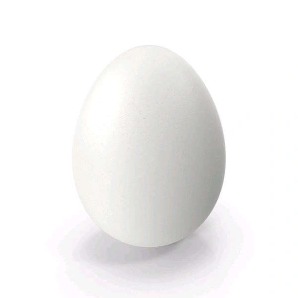 White Egg