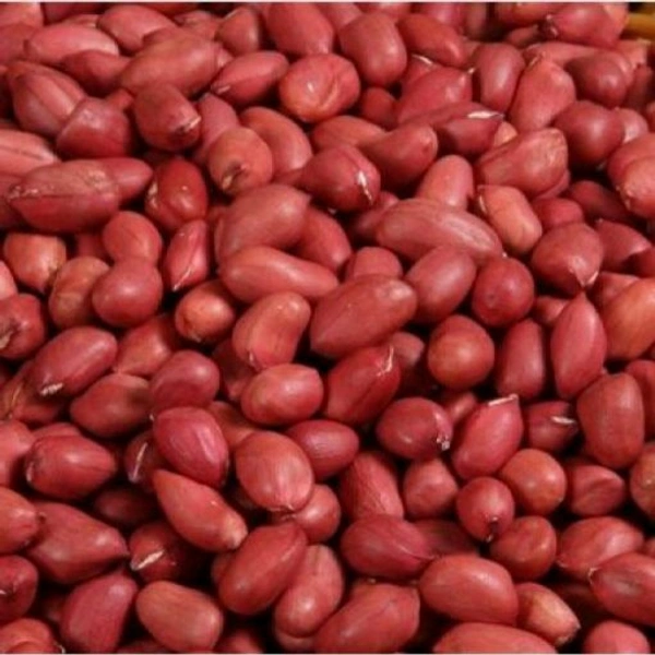Badam