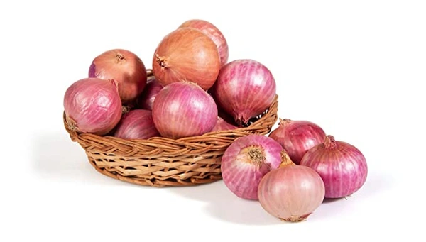 SMPH  Onion   (प्याज ಈರುಳ್ಳಿ ) - 1.5 Kg