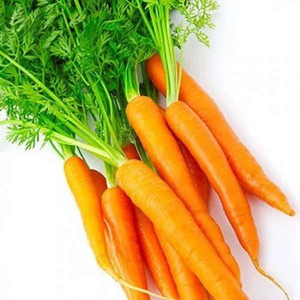 Carrot 500 Grams