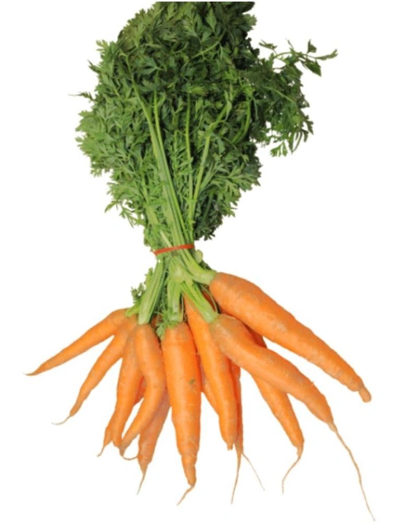 Carrot 500 Grams