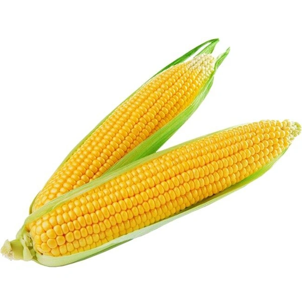 corn 🌽 1 Pieces