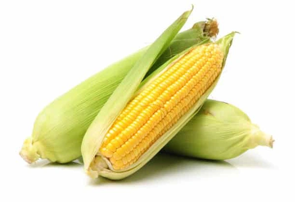 corn 🌽 1 Pieces