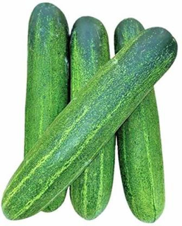 Green Cucumber 500 G ( Khira ' ಸೌತೆಕಾಯಿ) - Japanese Laurel