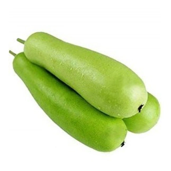 Gourd 1  Pieces  500g (Lauki) Loki