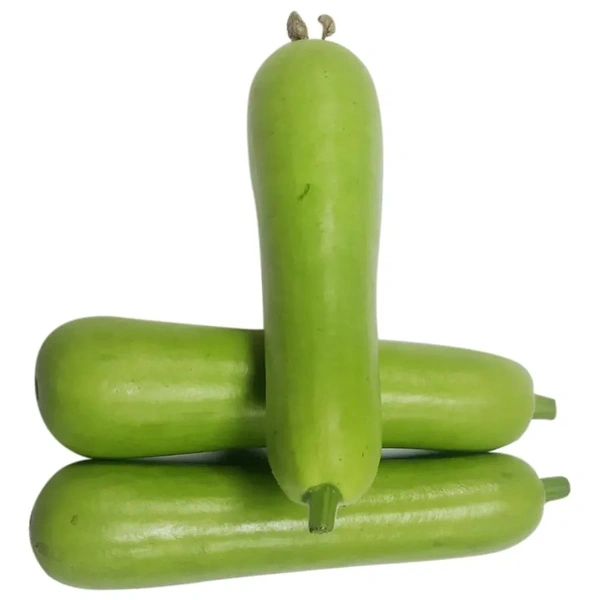 Gourd 1  Pieces  500g (Lauki) Loki