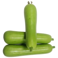 Gourd 1  Pieces  500g (Lauki) Loki