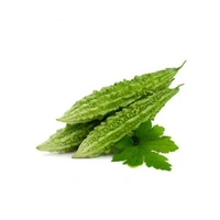 Karela 500 Gram's (ಕರೆಲಾ'  करेला) - Japanese Laurel